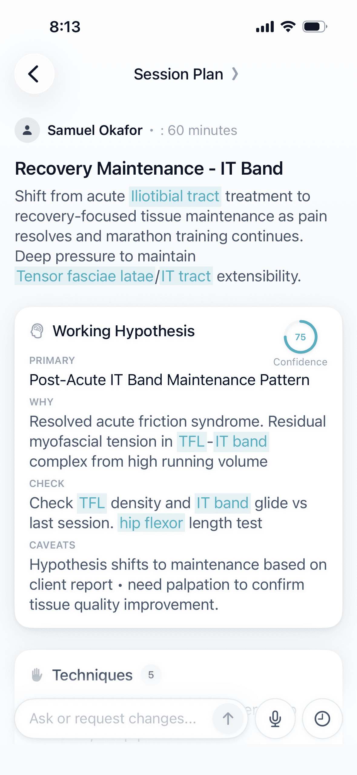 Session plan with working hypothesis, techniques, and timed phases